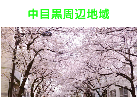 出張タイ古式マッサージが楽しめる中目黒エリア